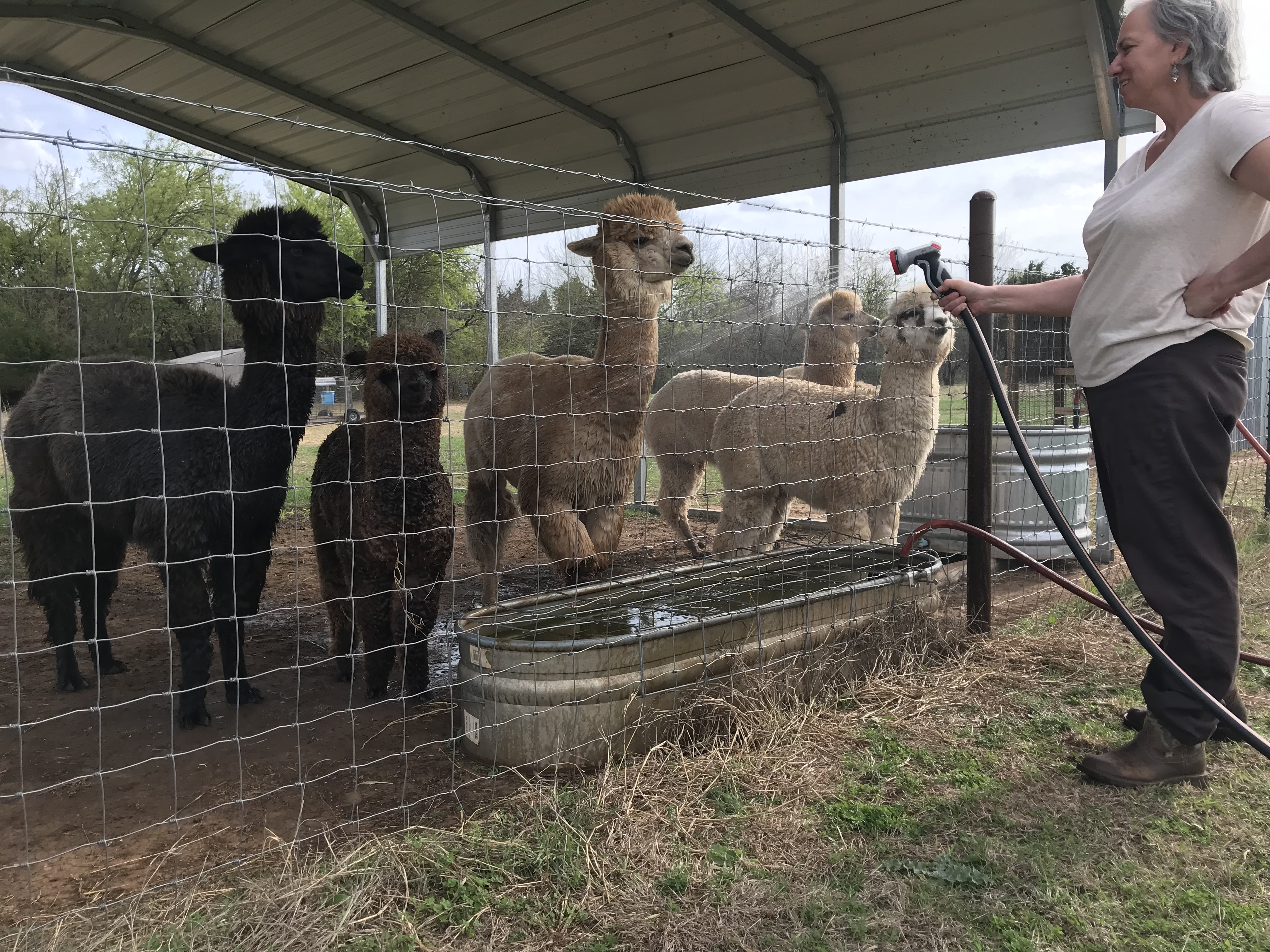 Getting Through The Dark Days